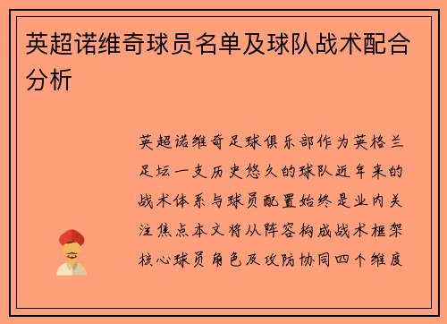 英超诺维奇球员名单及球队战术配合分析
