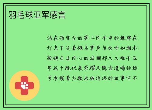 羽毛球亚军感言