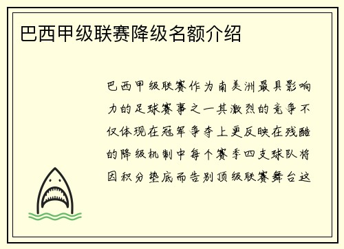 巴西甲级联赛降级名额介绍